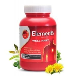Elements Wellness Well Hart